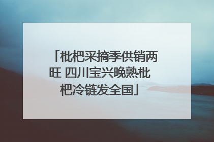 枇杷采摘季供销两旺 四川宝兴晚熟枇杷冷链发全国